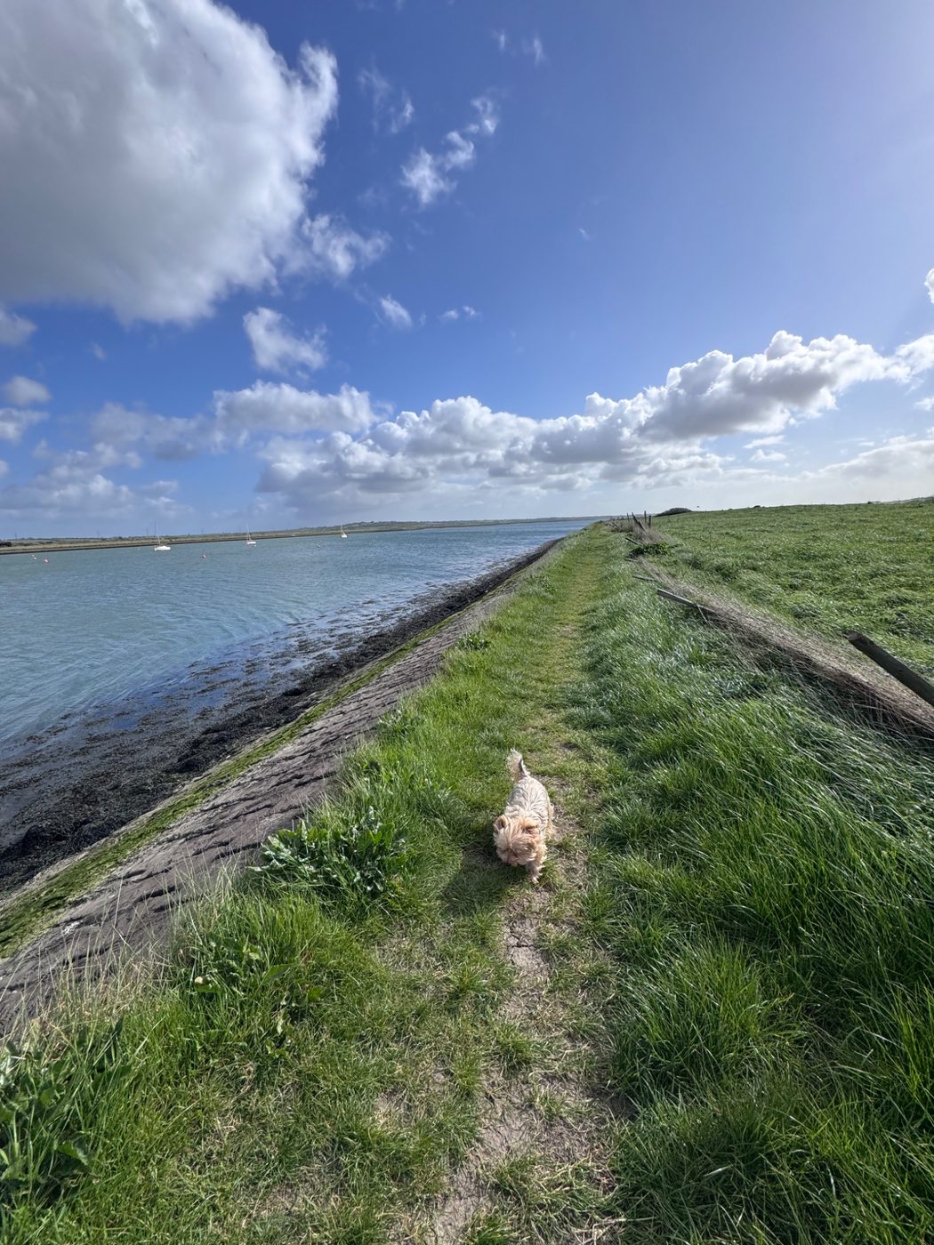 River Crouch riverbank footpath under blue sky